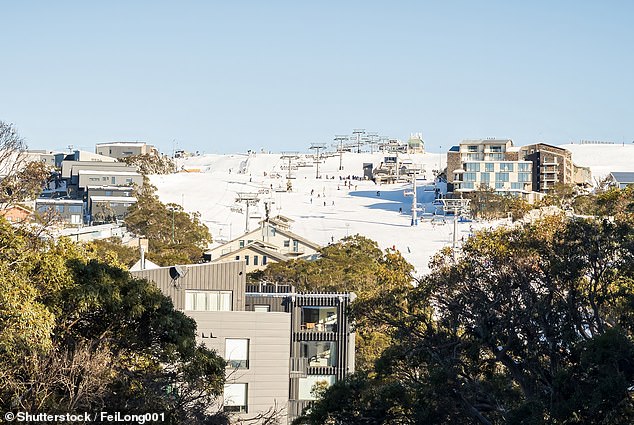 According to a blind item posted by Daily Mail Australia columnist Jana Hocking during one of her 'Saucy Secrets' Instagram sessions, the anonymous social media user described meeting the woman during a day trip to Mount Buller. Chalets at the location are pictured