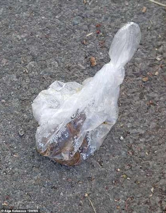 A photo of the poop bag dumped in front of Aiga's house by the shameless dog walker