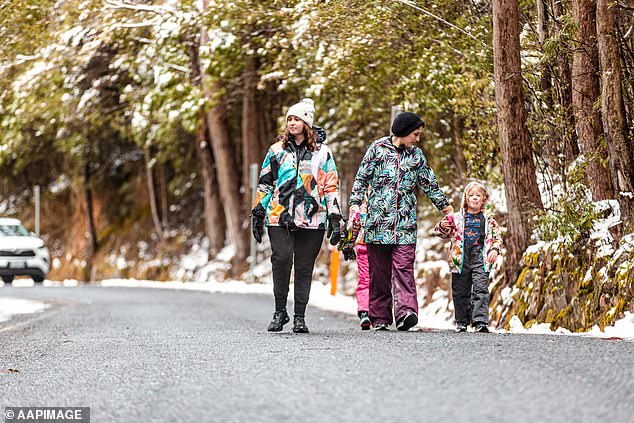 Snowfall began at ski resorts on Sunday afternoon and increased on Monday as the Tasman Low approached eastern Bass Strait