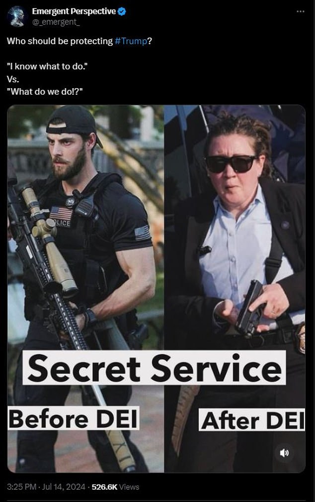 The female agent was used in an internet meme about how diversity in hiring had weakened the Secret Service