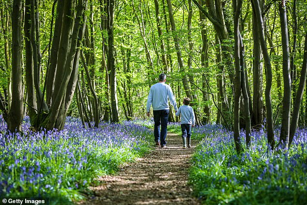 Unlike urban areas, where we are 'time poor', nature seems to slow down time (file image)