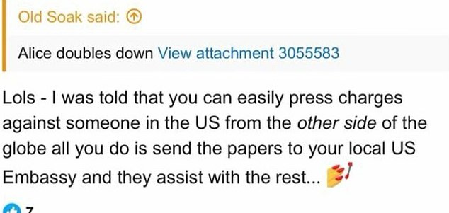 When a troll promised to press charges against Alice if she continued her pursuit, the 10 Things I Hate About You actress took a screenshot and responded in an Instagram post