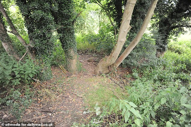 Clifford, 26, was discovered by police near gravestones at Lavender Hill Cemetery in Enfield