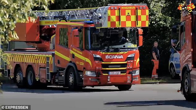 Firefighters arrived at the scene of the fire in Malmö to find bodies already shot