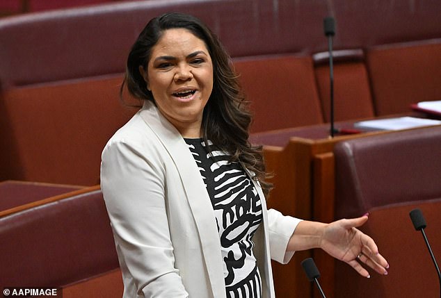 Jacinta Nampijinpa Price (pictured) is the Shadow Minister for Indigenous Australians and Senator for the Northern Territory