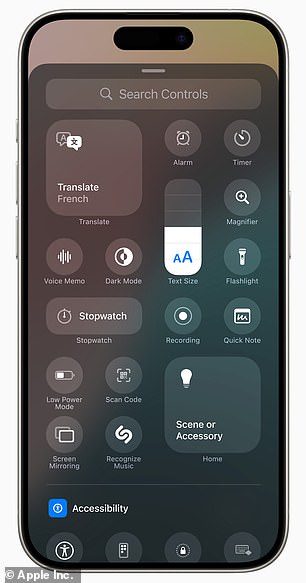 iPhone users can choose which icons appear in their Control Center