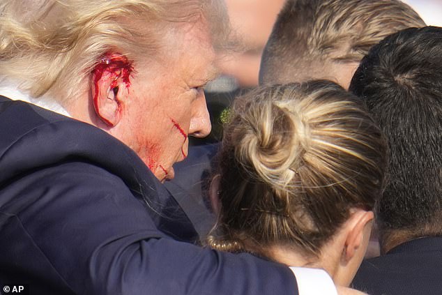 Trump is pictured above with a bloody ear after the shooting. He has since appeared with his ear wrapped in a bandage