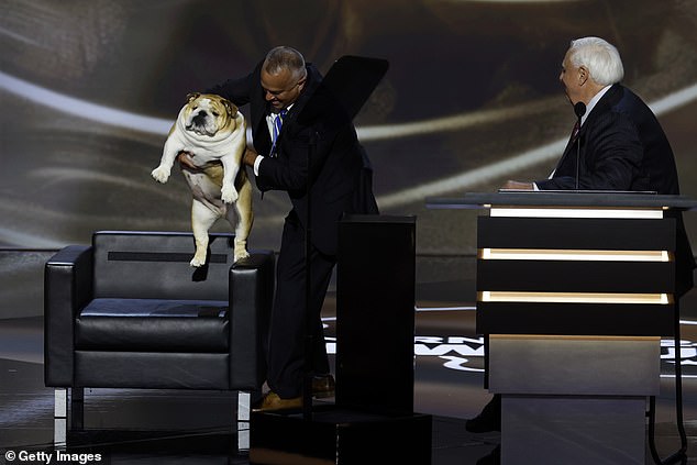 Babydog, who plays a sports and weather forecaster - à la Punxsutawney Phil - in West Virginia, makes a surprise appearance at the RNC on Tuesday night