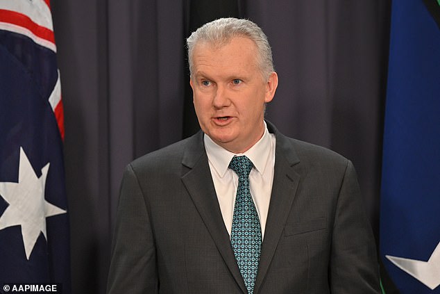 Industrial Relations Minister Tony Burke told reporters on Wednesday: 'I believe these measures are best taken by the regulator, but any move to appoint an administrator will be supported by me as Minister.'