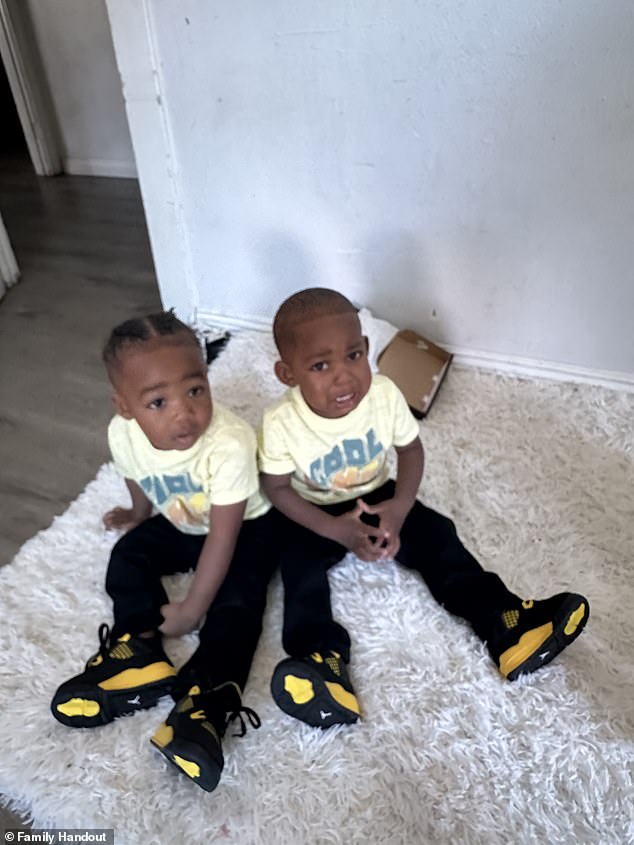 Horrific Tragedy Sees LA Twin Brothers Aged 3 Die At Home 'after Mom ...