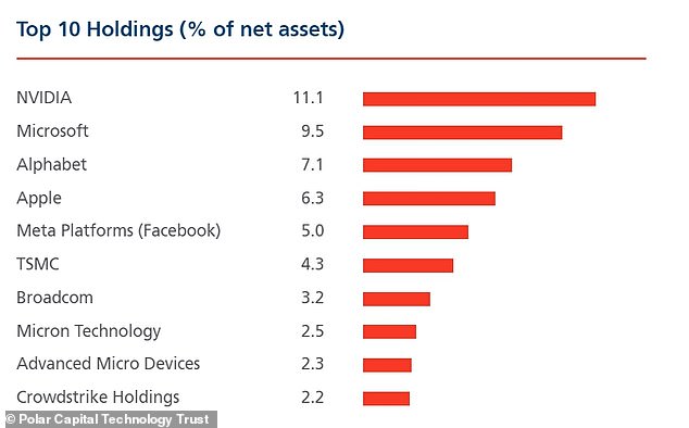 PCT boasts deep exposure to top-performing tech giants