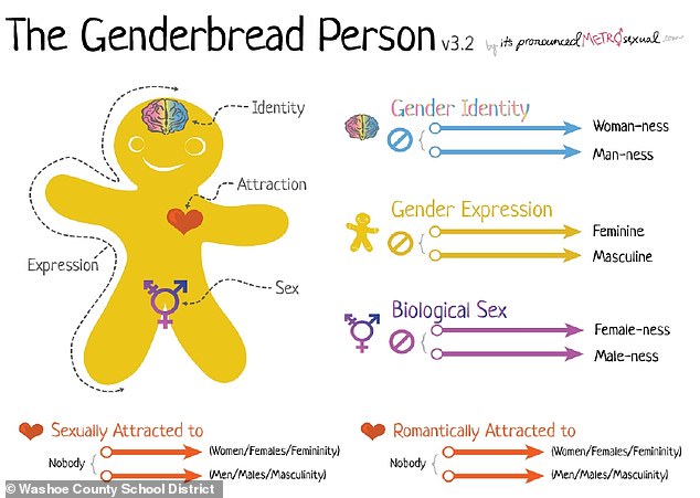 The company would, among other things, organize training for staff on the 'genderbread person', where traditional views of sex are rejected in favor of the gender spectrum.