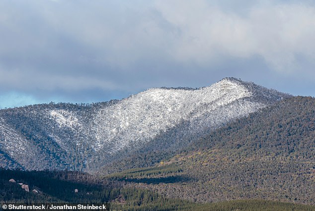 Residents claim the planned solar park would detract from the natural environment at the foot of the Brindabellas