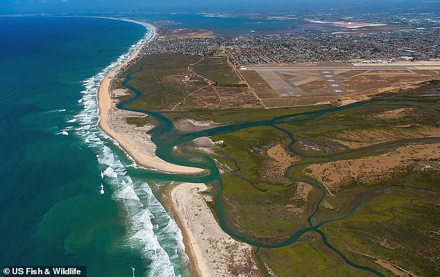 Tijuana Slough (pictured) and other beaches along the Tijuana River suffer from ongoing sewage problems due to inadequate infrastructure.