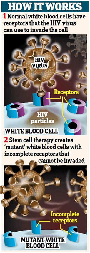 1721325153 672 Seventh person with HIV is CURED after stem cell transplant