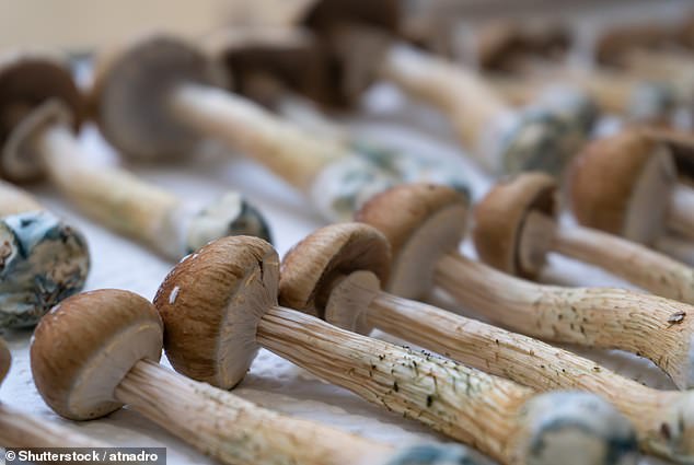 While magic mushrooms (pictured) have shown promise in combating anxiety and mental disorders, some individuals may experience persistent and disturbing visions based on their mental state, personality, and current environment