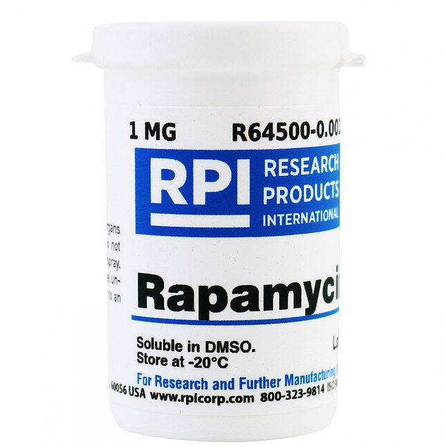 The researchers believe their IL-11 inhibition treatment will have fewer serious side effects than rapamycin (pictured)