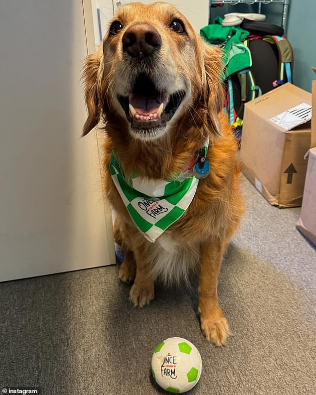 The fifth and final photo was of her adorable golden retriever Birdie wearing a Once Upon a Farm bandana