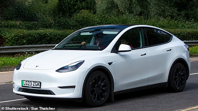 The Tesla Model Y was the most-purchased new car in Europe last year, but has dropped to 8th position in the rankings in 2024.