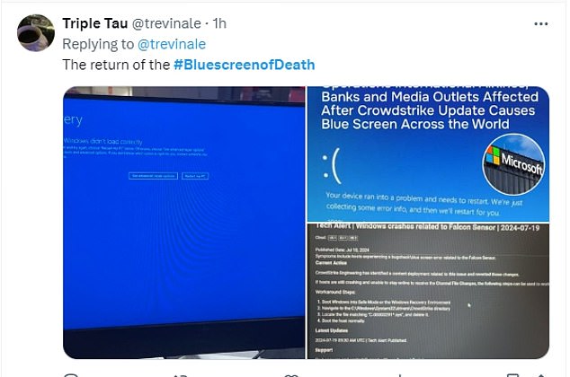 Another meme featuring a blue screen of death shows a computer with the message 'Windows did not load correctly'