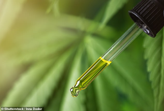 “CBD oil is not allowed on cruises due to different legal regulations around the world,” says Will