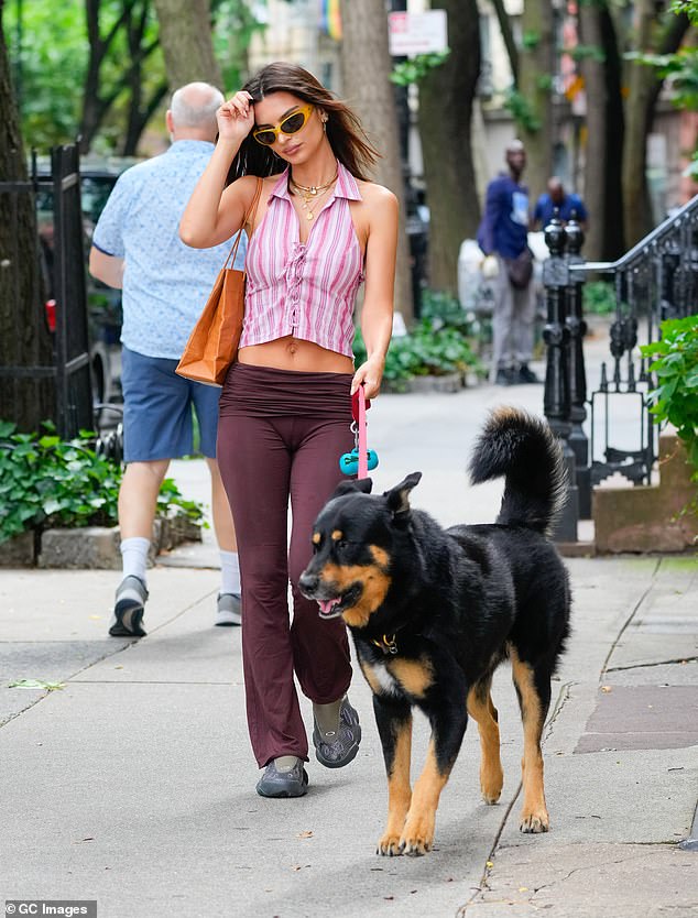 On Thursday, the cover girl was spotted walking her dog Colombo in New York