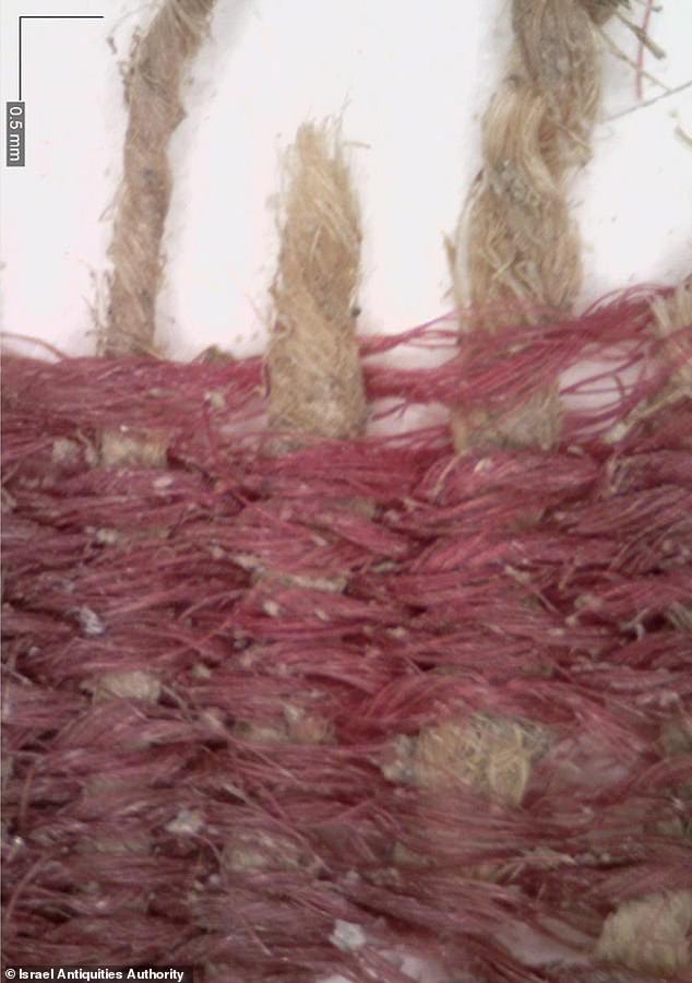 The team discovered the ancient textiles in Israel, finding a plant material from the southern Levant used to make the fibers and the weft threads were made of wool