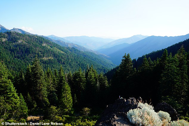 Etna summit on Sawyers Bar Road in Siskiyou County, California, overlooking the Russian wilderness