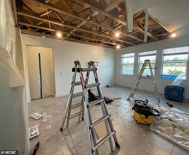 She had to remove ceiling panels and walls to tackle the mold in the house