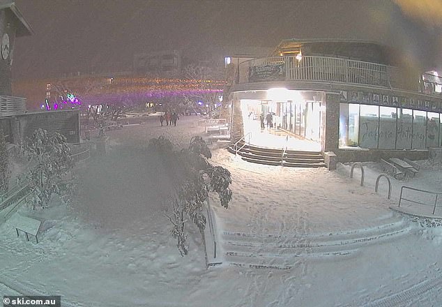 A snow camera on the village square of Mt Buller on Saturday evening shows the alpine areas getting a thick layer of snow