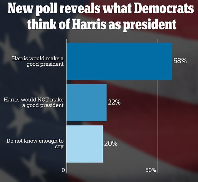 1721519456 235 Surprising new poll reveals what Democrats REALLY think of Kamala