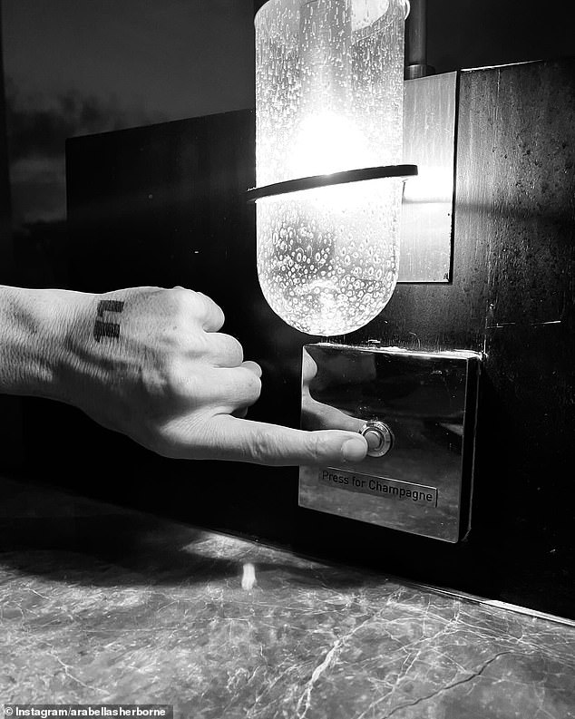 Another shot showed only Michael's hand as he pressed a button that read: 'Press for champagne', marking their lavish visit to Sri Lanka