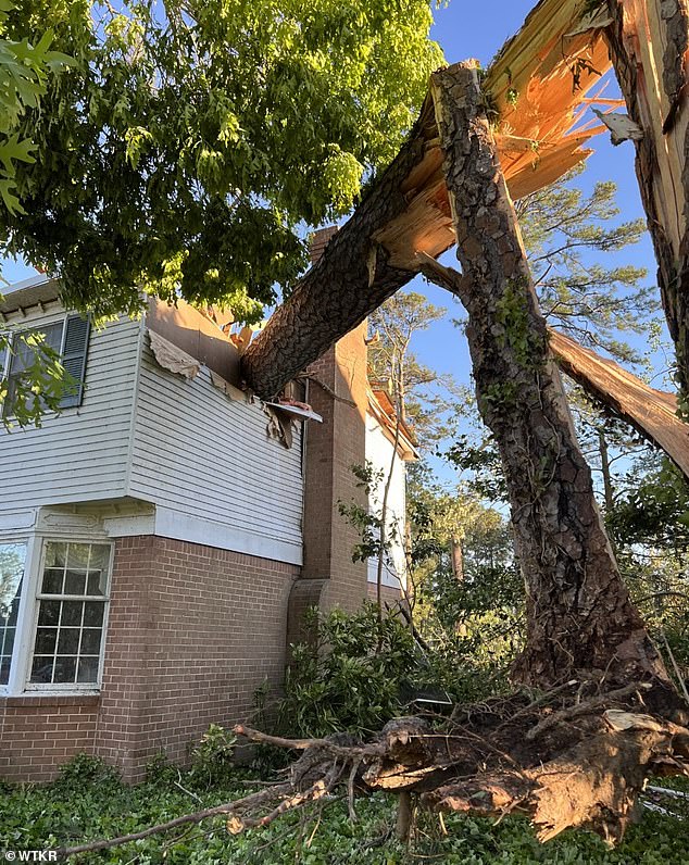 A tree snapped in half by the Virginia Beach tornado can be seen in the roof of a home