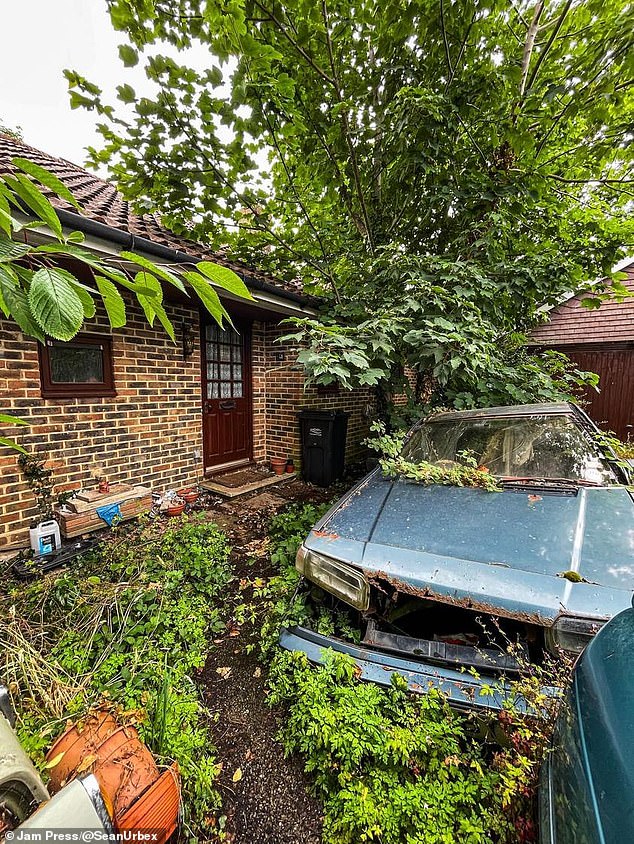 The video shows Sean wandering around outside and the camera shows four abandoned, neglected cars - overgrown and rusted - in the yard