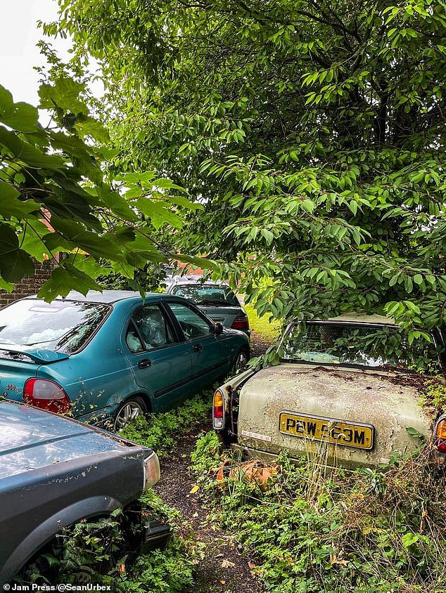 Rusted and old cars were left in the overgrown garden