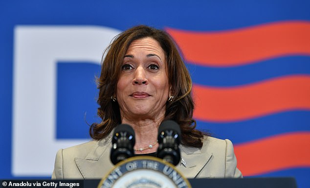 If Biden steps down as the Democratic nominee, Vice President Harris will likely replace him — and Trump's team has already begun devising a strategy to topple her