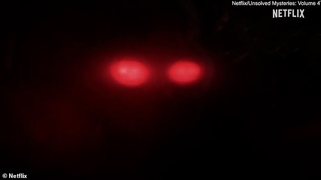 Netflix says: 'Amid eerie sightings of a large, winged, humanoid creature with red eyes, paranormal investigators investigate the Mothman's apparent link to major disasters'