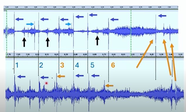 According to an economist, the evidence was that forensic experts identified three weapons during the incident and that at least two shots showed sound traces that did not match the other six.