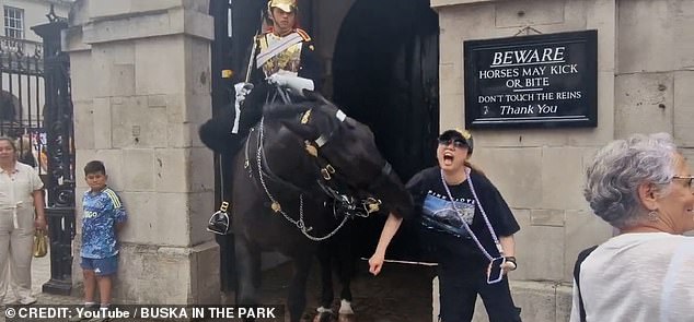 The woman screams as the black horse bites her arm