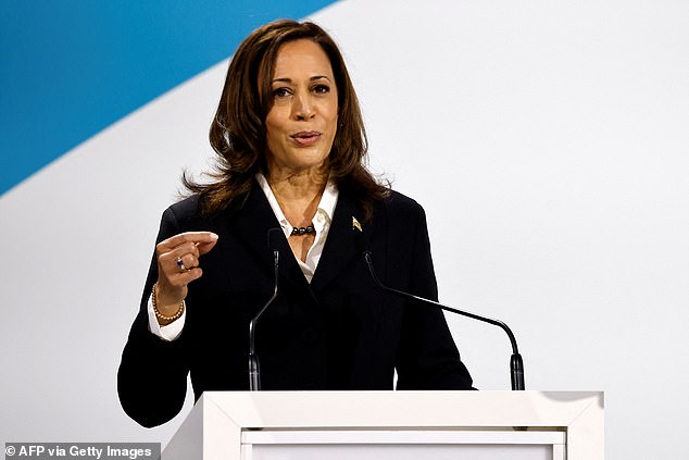 After weeks of uncertainty, it would be a bold move for Democrats to ignore Biden's endorsement of Harris (pictured) and use the few weeks left before the Democratic convention to find another candidate.