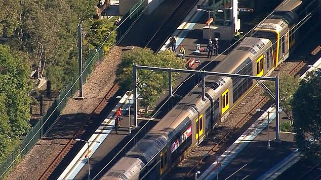 A woman ran to the platform after hearing the mother's screams and had to hold her while emergency services searched for her husband and children