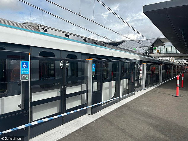 One possible safety measure could be platform screen doors, which have been installed in Sydney's new metro network (see photo)