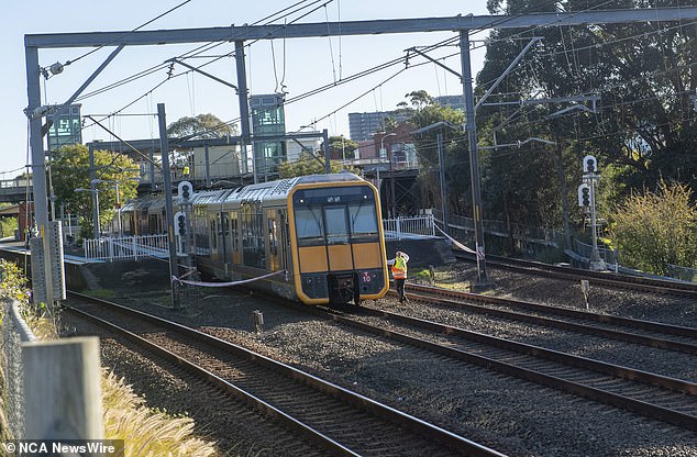 The twins' father heroically jumped onto the tracks to save his daughters, but was struck by a passing train, killing him and one of the little girls