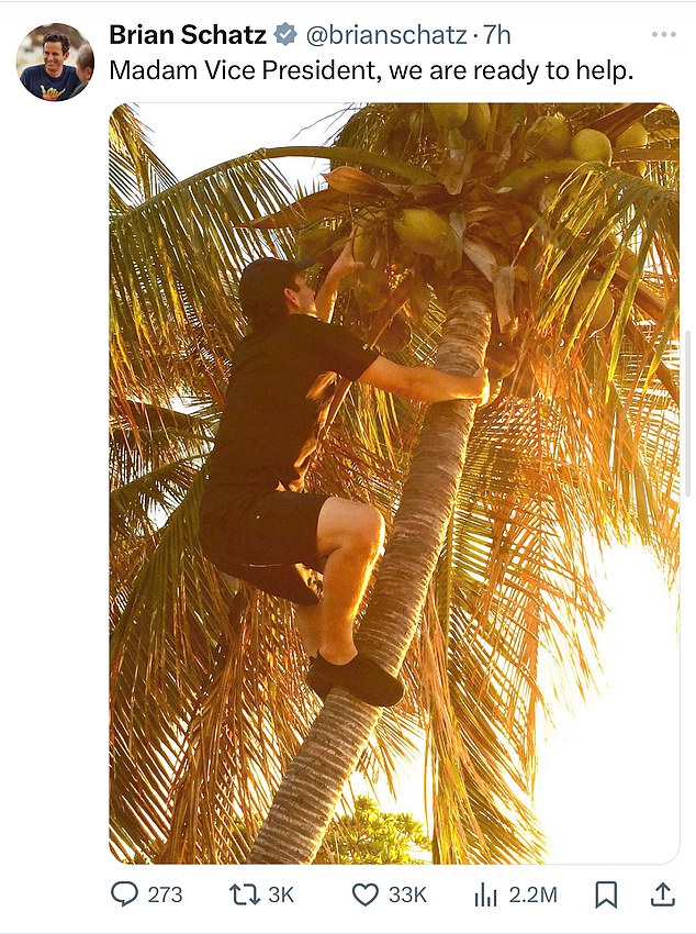 Senator Brian Schatz of Hawaii posted a photo of himself climbing a coconut tree, a reference to Ms. Harris's infamous anecdote about something she claimed her mother always said