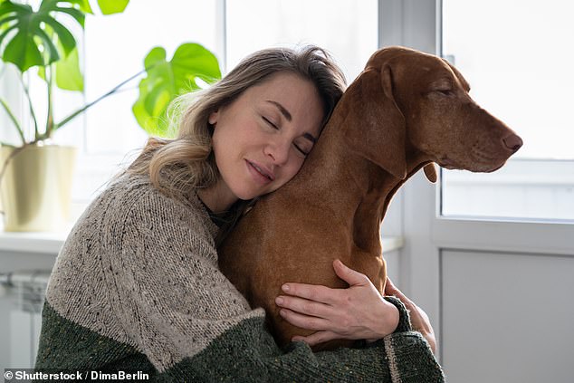 Dogs' ability to detect human stress may have evolved to help them conserve energy and avoid disappointment, researchers say (stock image)