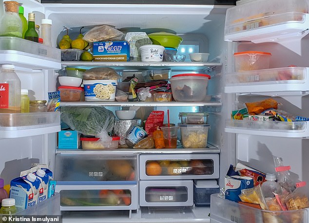 If your fridge is a mess like this one, Japanese scientists suggest some tactics to restore order and reduce waste