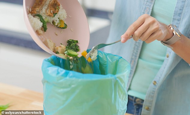 The main applications of compostable plastics include food packaging, bags, cups, plates, cutlery and bio-waste bags (see image)