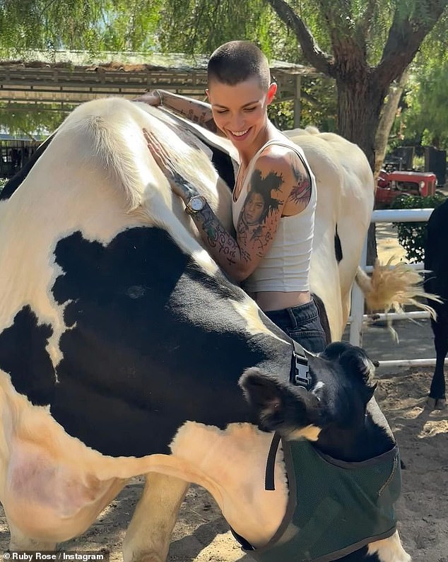 The Orange Is The New Black star is seen hugging a cow and a pig in the photos