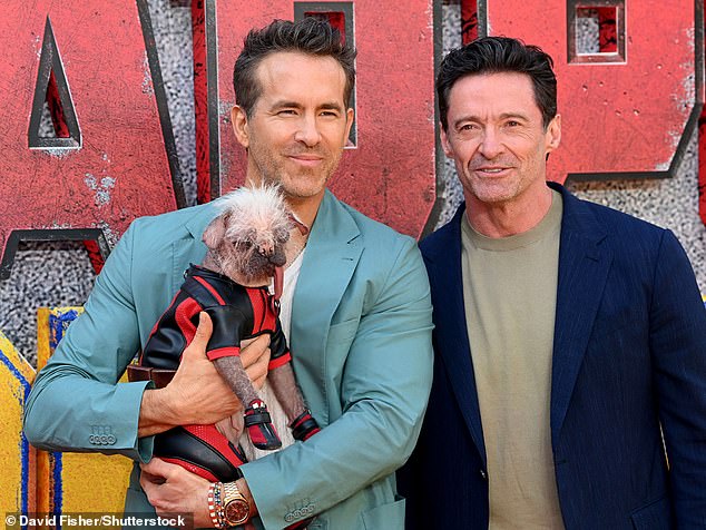 The unusual pooch looked right at home on the red carpet as she posed for the cameras with co-stars Ryan Reynolds and Hugh Jackman who proudly smiled with Peggy