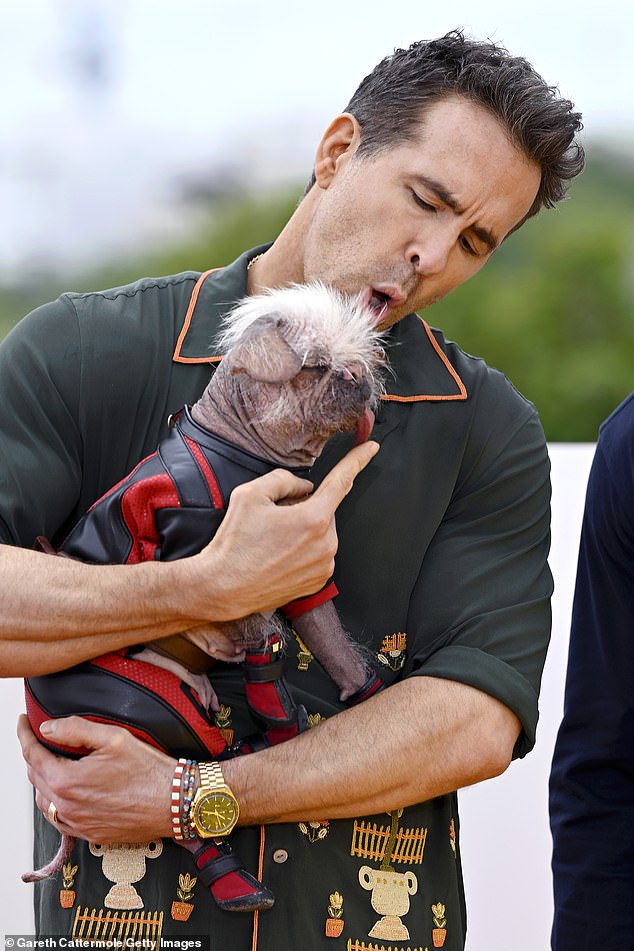 Ryan Reynolds loves Peggy, the 'ugliest dog in the UK'